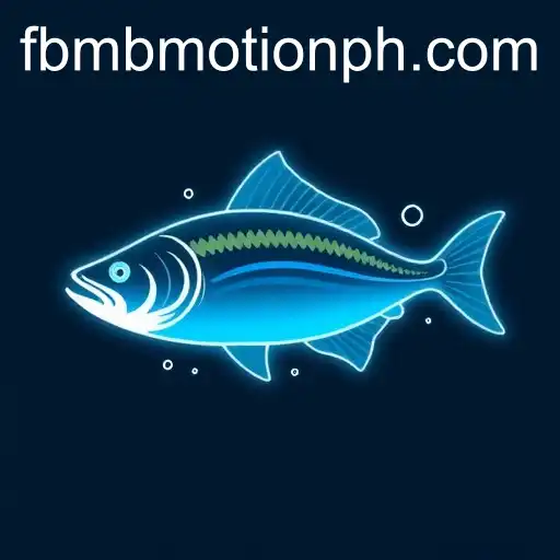 VIP Service FBM BMOTION - 24/7 Support and Exclusive Benefits
